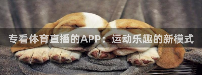 专看体育直播的APP：运动乐趣的新模式